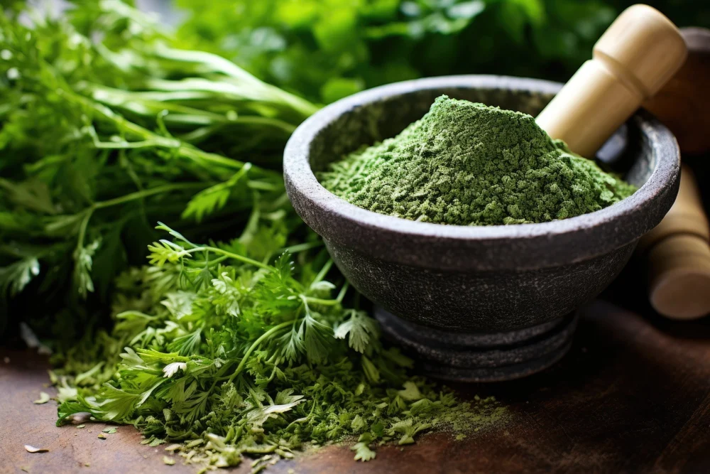 Coriander Leaf Powder
