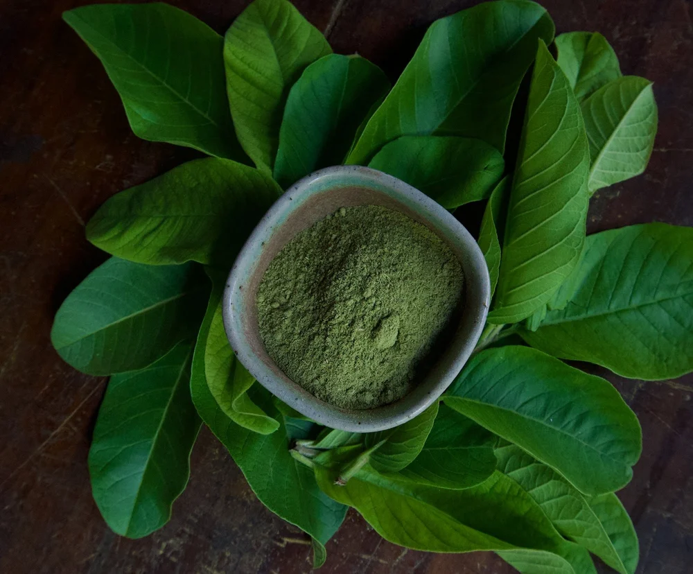 Guava Leaves Powder