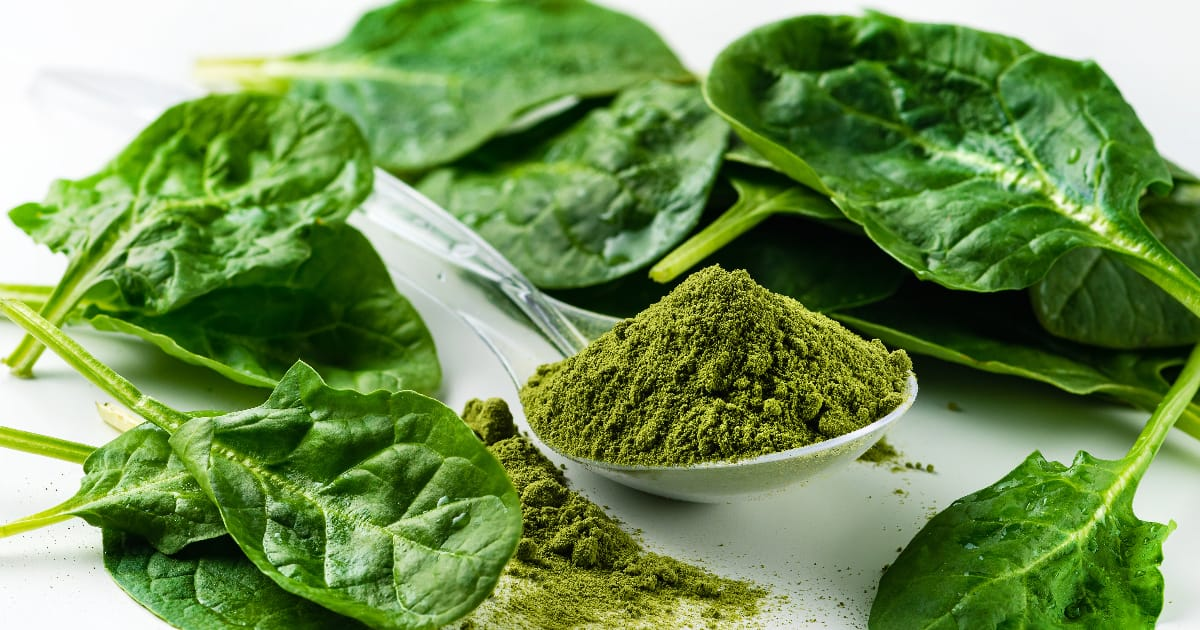 Spinach Leaves Powder