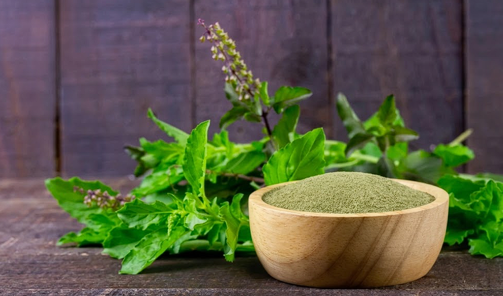 Tulsi Powder
